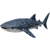 Polygonal Whale Shark – Geometric Art