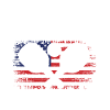 Never underestimate: Old man with pickleball
