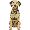 Dalmatian Patch Art Tee