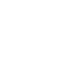 Heraldic Knight with Shield