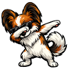Chien Papillon