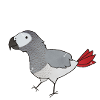 Anatomie der Kugelpython