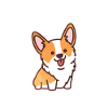 Corgi-Hundeanatomie