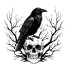 Raven over skull