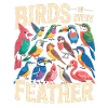 Birds of Every Feather Vogel Vielfalt