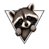Raccoon in a triangle