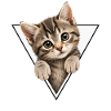 Chaton dans le triangle