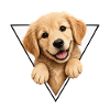 Dog pup in triangle frame