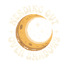 Shadow Nerd | Solar eclipse