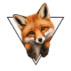 Illustration du renard dans le triangle
