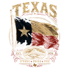 Texas Flag Pride: Stark & Free