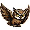 NightOwl Wingstorm