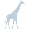 Pastel giraffe silhouette
