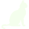 Moonlit Night Cat Silhouette