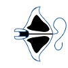 Blue outline manta silhouette