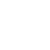 Funny Bicycle Fox