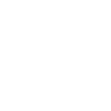 Funny Bicycle Fox