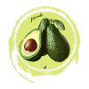 Avocado illustration in a circle