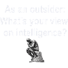 Outsider on Intelligence
