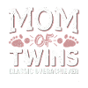 Mom of Twins – Classic Overachiever