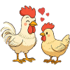 Rooster in love with hen