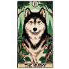 Husky Forest Tarot Card