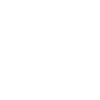 Shark Tooth Hunting Beach Fossil Hunter