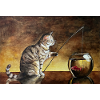 Fisher cat and goldfish in bowl