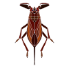 Water scorpion
