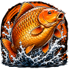 Orange-Koi-Karpfen-Splash-Angel-Design