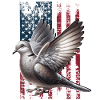 Diamond Dove US Diamanttaube