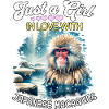 Japanese macaque girl Japanese macaque