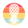 Sunset Pineapple Circle