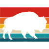 Bear Silhouette on Retro Rainbow Stripes
