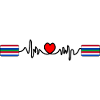 Schier Pulse Logo – Island Style