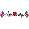 Schier Heartbeat – Island Pride