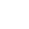 Flat-coated Retriever "Black Edition"