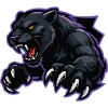 Schwarzer Panther Krallensturm
