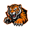Wild tiger in cartoon style