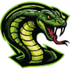 Green Cobra Head Illustration