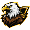 Eagle with Gold Accent Comic