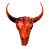 Feuerroter Bullenkopf