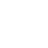 Predatory Falcon Silhouette