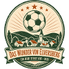 Das Wunder von Elversberg