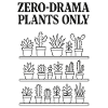 Only stress-free plants | Succulents