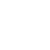 Bicycle Bear