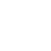 Bicycle Bear