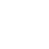 Funny Bicycle Bear