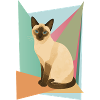 Elegant Siamese cat in geometry style