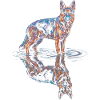 Deutscher Schäferhund mit Wasserreflexion